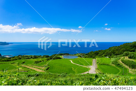 Toho-hata rice paddy and the Japan Sea Toho-hata rice paddy and the Japan Sea 47494123