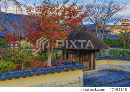 Shunkoin in Kyoto Autumn (Haruho Zen temple) 47495136