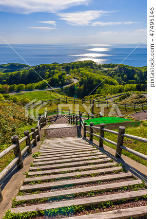 Dragon Line Line Observation Deck 47495146