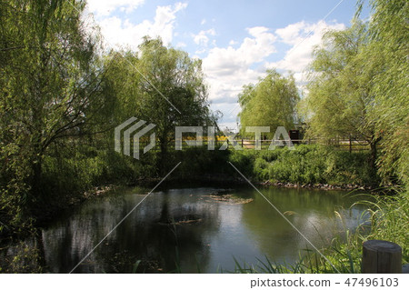 Asakura city (before flooding) Asakura city (before flooding) 47496103