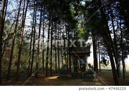 神社 神社 47498220