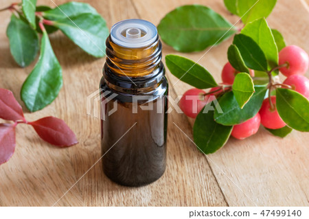 A bottle of wintergreen essential oil A bottle of wintergreen essential oil 47499140