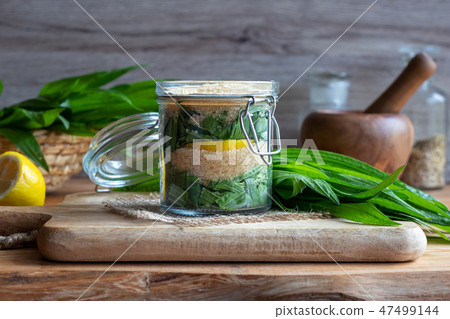 Preparation of ribwort plantain syrup for cough Preparation of ribwort plantain syrup for cough 47499144