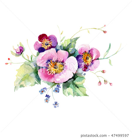 Pink rose floral botanical flower. Watercolor... - Stock Illustration ...