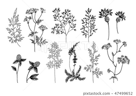 TINYSOME 16X Flexible Herb Plant Stencils Tropical Leaves Templates for DIY  Art Projects - Walmart.com