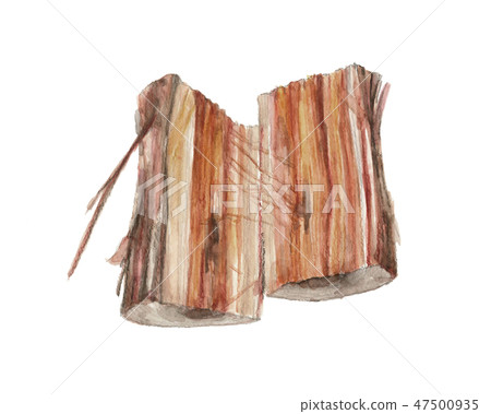 Firewood splitting, firewood, cedars, trees, burning trees 47500935