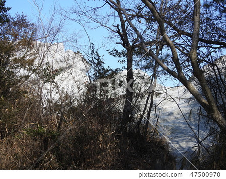 Volcanic rock 47500970