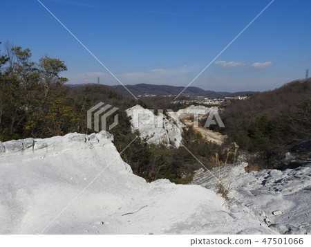 Volcanic rock 47501066