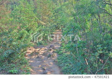 Hiking path to a High Junk Peak , hk Hiking path to a High Junk Peak , hk 47501421