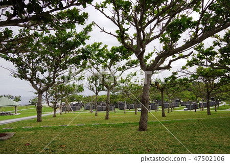 沖繩戰場國家紀念公園(和平紀念公園) 沖繩戰場國家紀念公園(和平紀念公園) 47502106