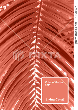 Living Coral color of the Year 2019. Leaves of palm tree with coral in trendy color 47503240
