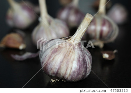 Head of garlic on a black table Head of garlic on a black table 47503313