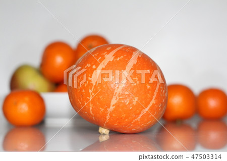 Orange little pumpkin 47503314