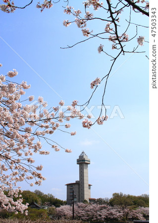 Owariasahashi城市風景在春天 47503343