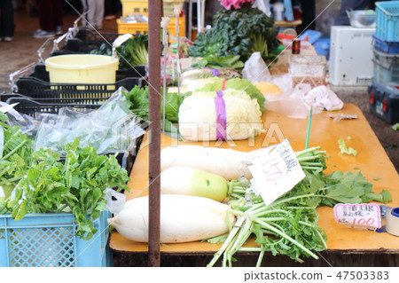 Misaki Asaka Misaki Asaka 47503383