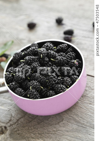 black mulberry berries in a pink pot black mulberry berries in a pink pot 47503548
