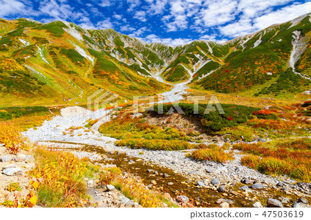 Tateyama of autumn leaves, Raizanjosawa 47503619