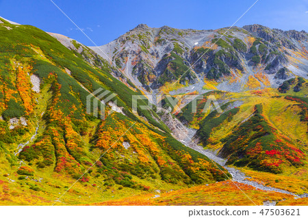 Tateyama of autumn leaves, Raizanjosawa 47503621