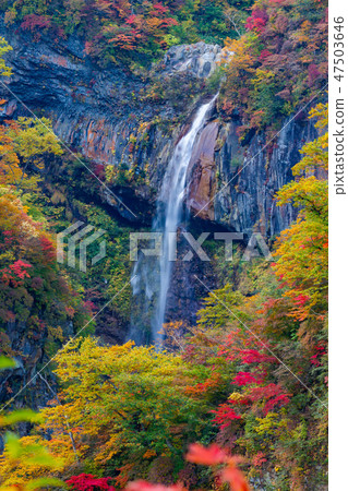 Autumnal leaves Myoko · Soru Falls Autumnal leaves Myoko · Soru Falls 47503646