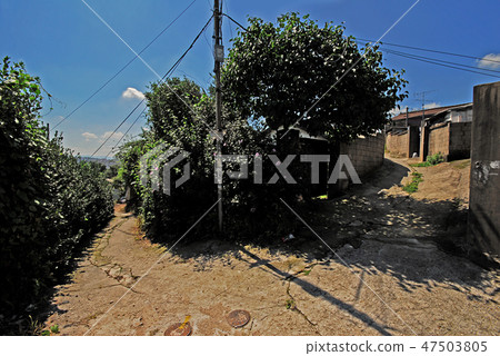 Alley, road, summer Alley, road, summer 47503805