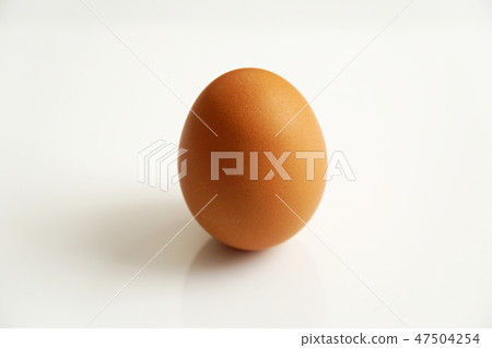 Standing eggs 47504254