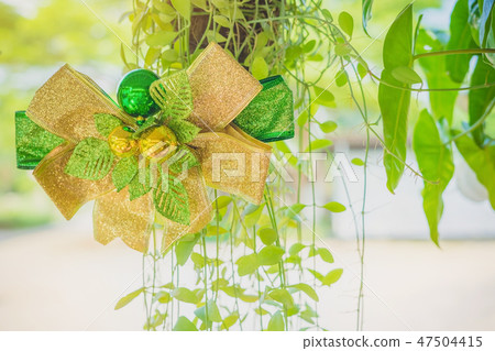 A green ribbon with small ball for decorate A green ribbon with small ball for decorate 47504415