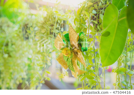 A green ribbon with small ball for decorate A green ribbon with small ball for decorate 47504416