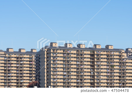 大廈集團 大廈集團 47504478