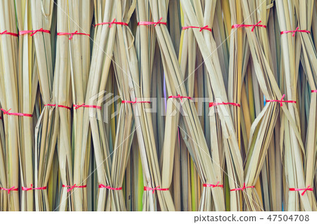 Papyrus sedge build to a backdrop for decoration Papyrus sedge build to a backdrop for decoration 47504708