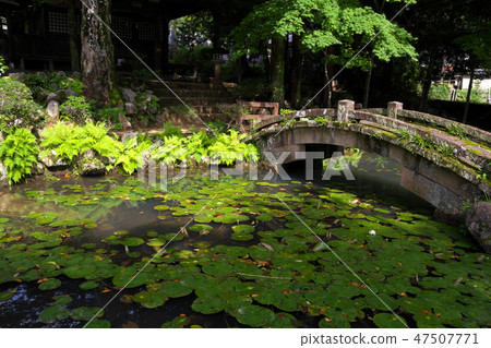 高山Fukahama 高山Fukahama 47507771