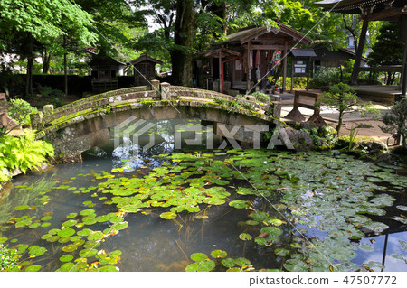 高山Fukahama 高山Fukahama 47507772