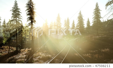 Flight Over A Railway Surrounded By Forest Flight Over A Railway Surrounded By Forest 47508211