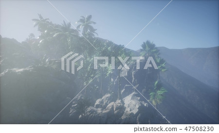 4k Amazing Sunrise at Palm Oil Tree Plantation 47508230