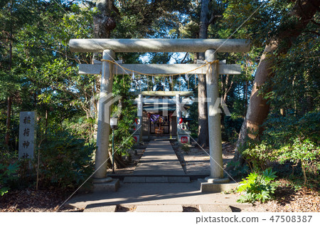 Muroshin Shrine Inari神社(茨城縣神城市)自2019年1月起 Muroshin Shrine Inari神社(茨城縣神城市)自2019年1月起 47508387
