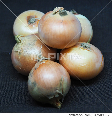 有機圖像（洋蔥：天然紋理） 47509397