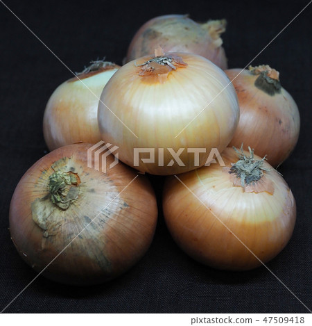 Organic image (onion: natural texture) 47509418