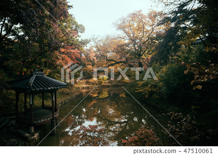 Autumn in Changdeok Palace Autumn in Changdeok Palace 47510061