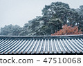 Snow landscape of Gangneung Mission 47510068