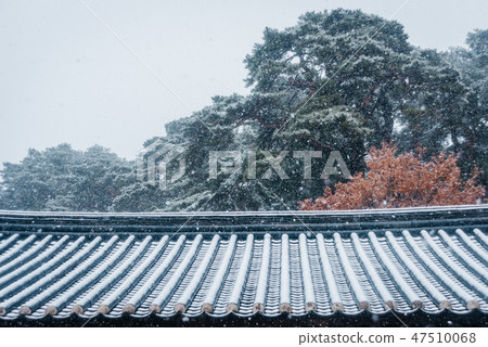 江陵使命的雪景觀 江陵使命的雪景觀 47510068