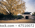 Autumn of Gyeongbok Palace Gunchunmun 47510072
