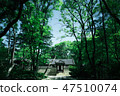 Summer in the jongmyo 47510074
