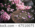 A bonsai tree flower of a mansion house mansion 47510075
