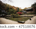 Autumn of Changdeokgung Palace 47510076