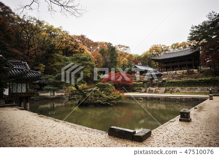 Autumn of Changdeokgung Palace 47510076
