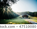 Morning landscape of Seorungung Hongreung 47510080