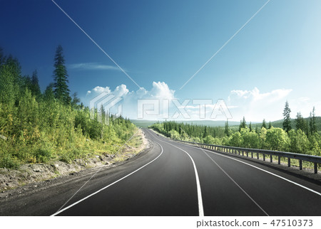 road in north mountain forest road in north mountain forest 47510373