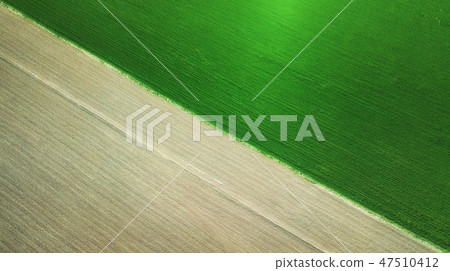 Field as a background. Agricultural landscape Field as a background. Agricultural landscape 47510412