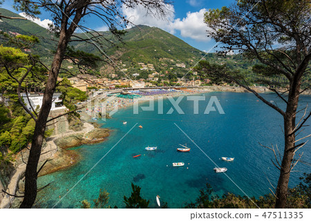 Beach and Coast of Bonassola in Liguria Italy Beach and Coast of Bonassola in Liguria Italy 47511335