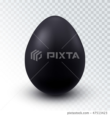 Vector Realistic Black Chicken egg Vector Realistic Black Chicken egg 47513423