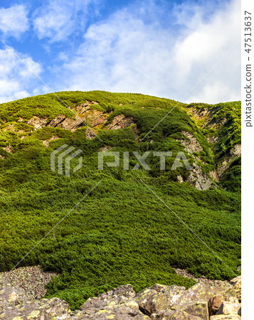Polish Tatra mountains summer landscape with blue sky and white clouds. 47513637